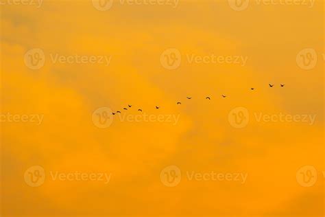 birds flying into sunset sky 18837674 Stock Photo at Vecteezy