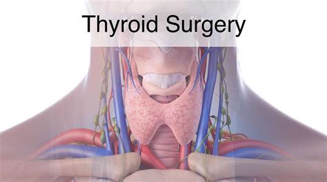 Endocrine Disorders | Thyroid, Parathyroid, & Adrenal Surgery