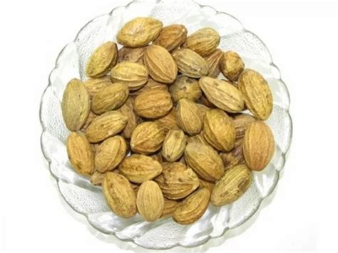 Terminalia Chebula at Rs 110/kilogram | Terminalia Chebula in Vadodara ...