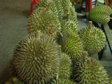 A Visit to Davao - All About Durian