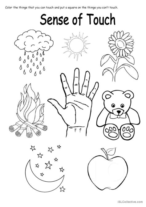 SENSE OF TOUCH: English ESL worksheets pdf & doc