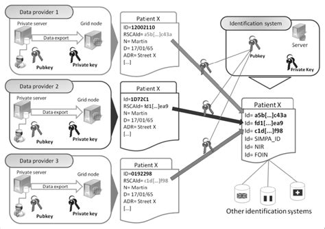 Identification system. | Download Scientific Diagram