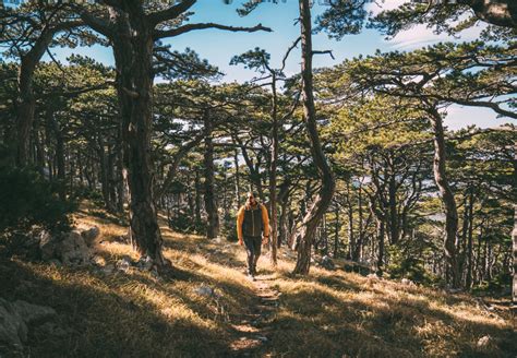 Hiking trails on Biokovo mountain offer stunning views over the sea ...