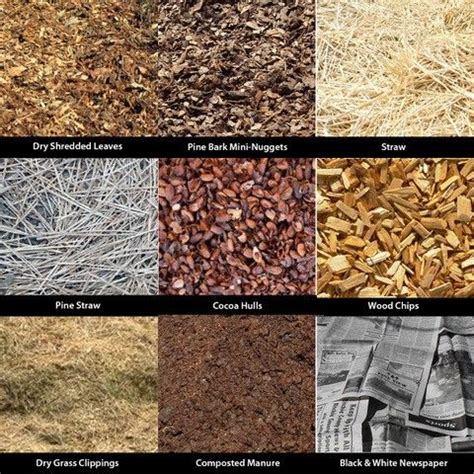 Organic Mulches - Stark Bro's | Organic mulch, Mulch landscaping, Mulching