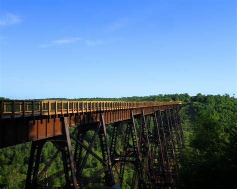 Author at Kinzua Bridge Fall Festival