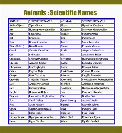 VEENA V NAIR: Animals : Scientific Names