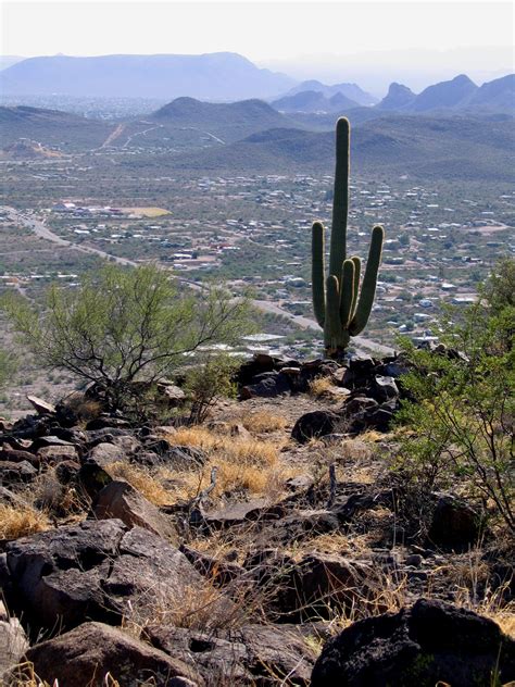 Tumamoc Hill » Arizona Archaeological and Historical Society