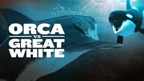 Orca vs. Great White - Nat Geo Documentary - Where To Watch