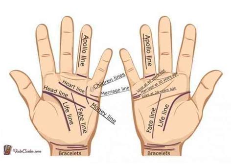 Palm Reading Guide: What The Lines On Your Hand Say About Your Personality Palm Reading Lines ...