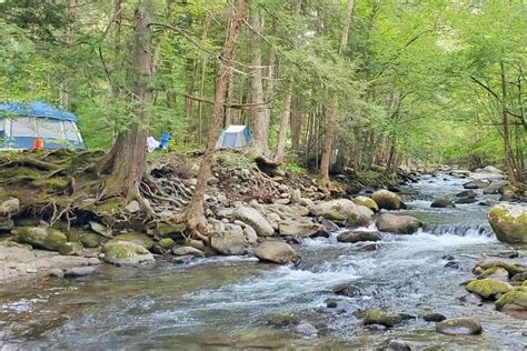 Elkmont Campground PICS + things to do nearby in Smoky Mountains ⛰🐻 TN ...