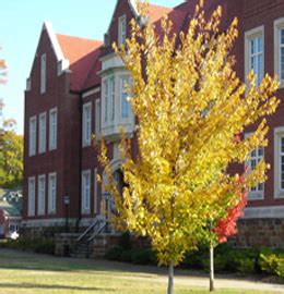 Fall 2006 Campus Photos | Hendrix College