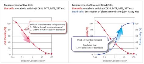 Cell Counting Kit-8 & Cytotoxicity LDH Assay Kit-WST DOJINDO