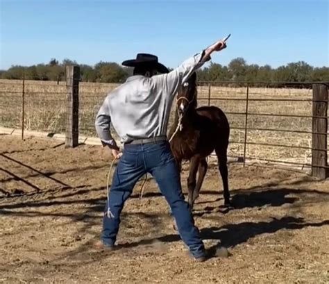 WATCH: Dancing Cowboy Uses His Sweet Moves To Train His Horse