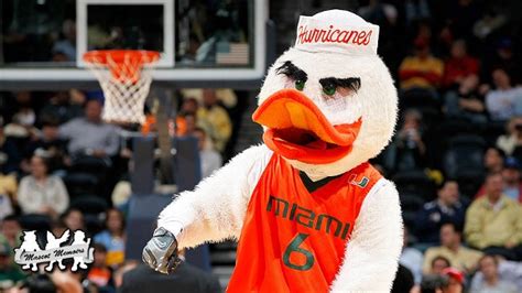 Mascot Memoirs Sebastian the Ibis University of Miami Hurricanes