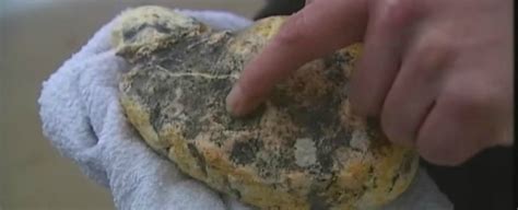 Lucky Fishermen Have Stumbled Across a $3 Million Lump of Whale Vomit ...