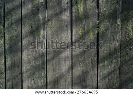 Palisade fence Images - Search Images on Everypixel