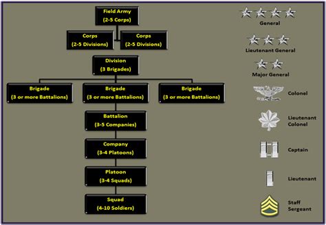 The Army Organization Diagram | Quizlet