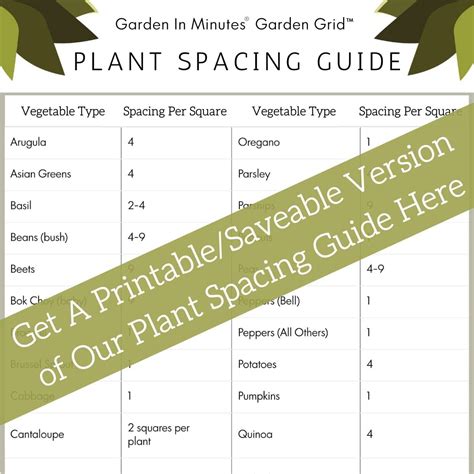 Zone 9A Planting Calendar - Printable Template Calendar