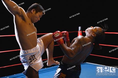 Mixed Martial Arts Fighters, Stock Photo, Picture And Royalty Free ...