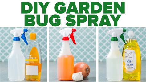 Diy Bug Spray For Plants : Homemade Bug Spray For The Garden 3 Easy Recipes - Mix it well and ...