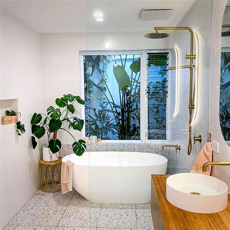 10 Best Bathroom Plants That Absorb Moisture