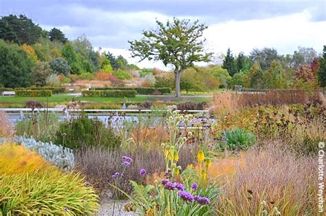 Gardens for all Seasons - RHS Wisley