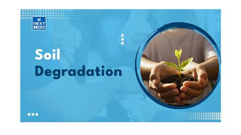Soil Degradation: Types, Causes, Effects, and Solutions