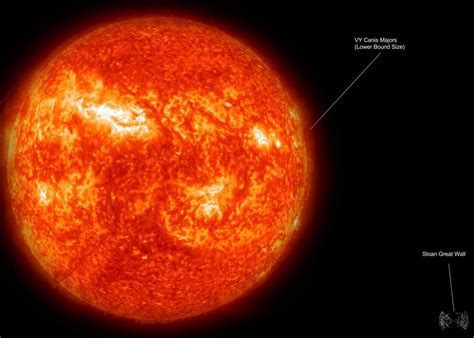 VY Canis Majoris. Own Of The Biggest Known Star | Wiki | Science Society (CYGNUS X) Amino