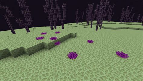 Coral Fans + Waterlogged Slabs = End Flowers : r/Minecraft