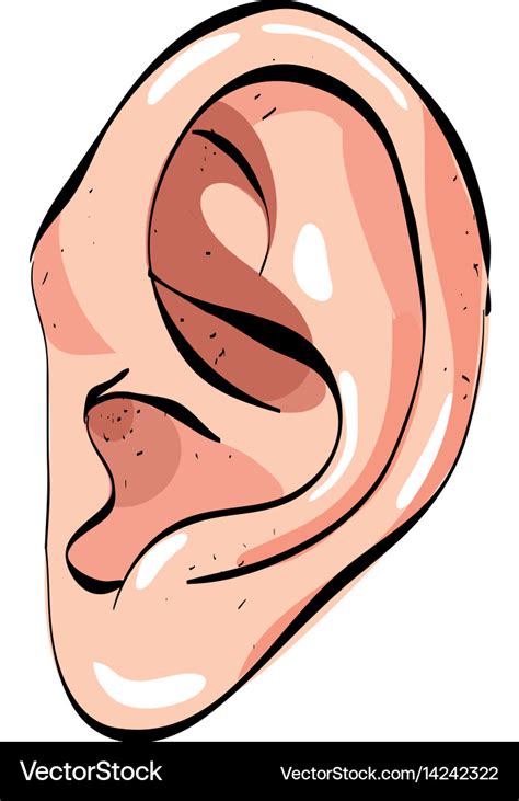 Cartoon image of human ear Royalty Free Vector Image