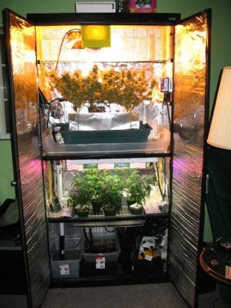 100 Diy Grow Box images in 2020 | grow boxes, growing vegetables ...