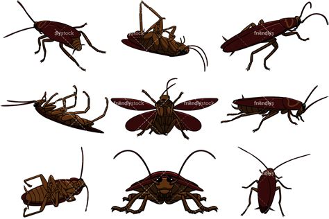 Roach Vector at Vectorified.com | Collection of Roach Vector free for personal use