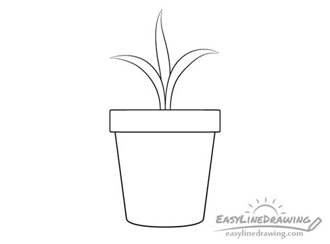 How to Draw a Plant Pot Step by Step - EasyLineDrawing