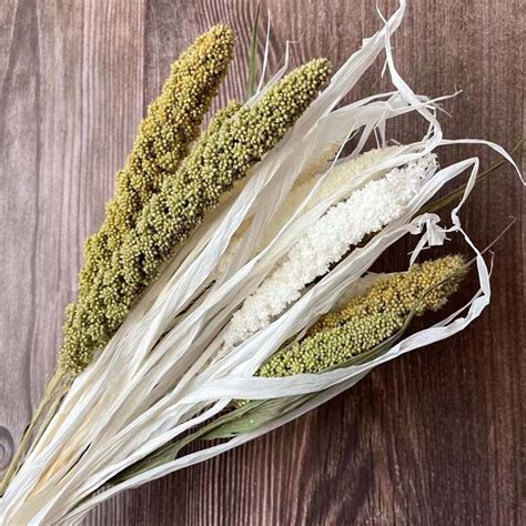 Dried Millet Spike Bouquet Decorative Flowers Millet Rice - Etsy Hong Kong