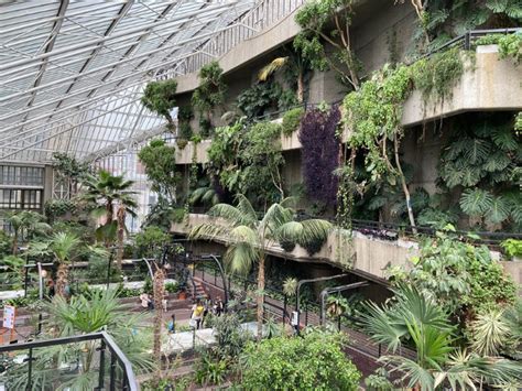 10 unusual parks or gardens in London…8. Barbican Conservatory… – Exploring London