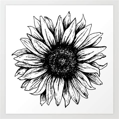 Black and white sunflower (Pen and Ink) Art Print by LiciaMarie | Society6