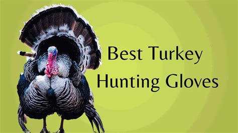 5 Best Turkey Hunting Gloves On A Budget – Pick Your Gear