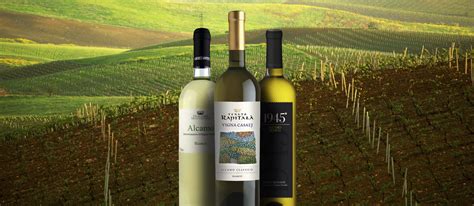 5 Most Popular Sicilian White Wines - TasteAtlas