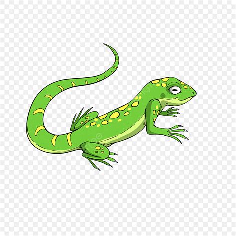 Cartoon Style Spotted Lizard Clipart Lizard Clipart Lizard Clip Art ...