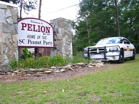 Pelion, SC : Pelion, SC "Home of the Peanut Party" photo, picture, image (South Carolina) at ...