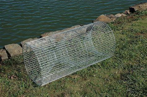 How to build your own fishing trap | Five Gallon Ideas