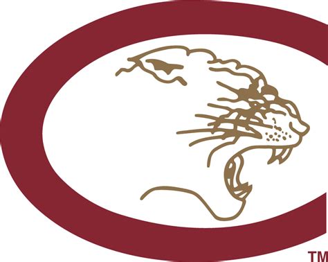 College of Charleston Cougars Logo - Primary Logo - NCAA Division I (a ...