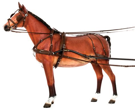 Fitting Carriage Driving Harness – Riding & Harness Stuff