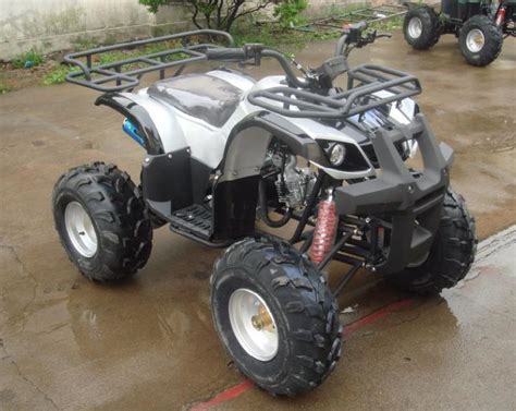 China 110cc ATV (TL110ATV-A) - China atvs, Quad