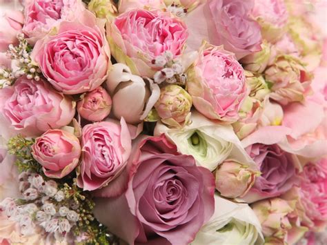 Image result for sympathy | Romantic flowers roses, Pink peonies wallpaper, Peony wallpaper