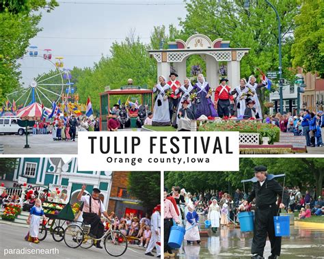 Best places to enjoy Tulip Festival in USA