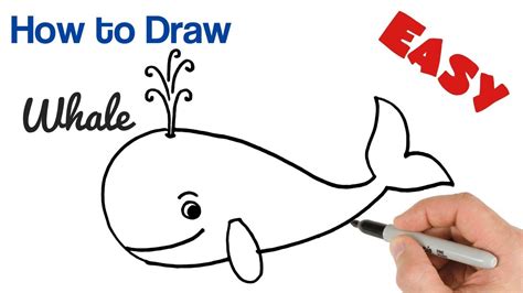 How to Draw a Whale fo Kids Easy and Cartoon - YouTube