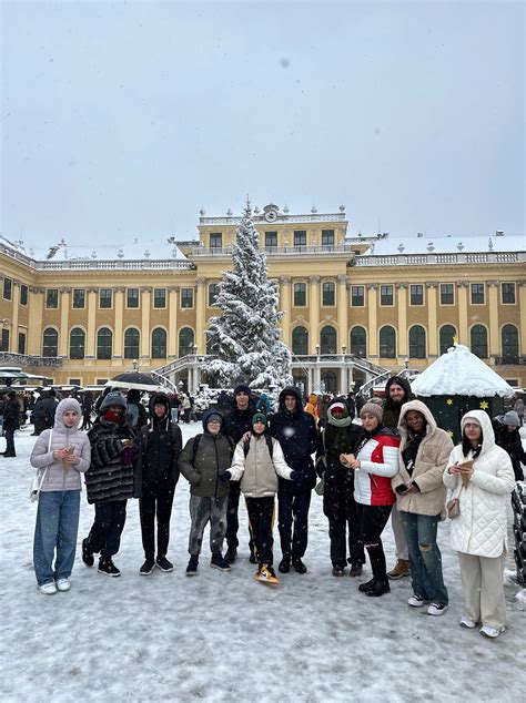 3 Reasons to Visit the Christmas Market by Schönbrunn Palace in Vienna ...