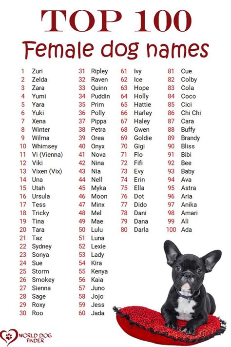 Female Dog Names and How to Choose One | Female dog names, Dog names ...