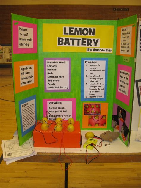 Science Fair Project Ideas For 1st Grade